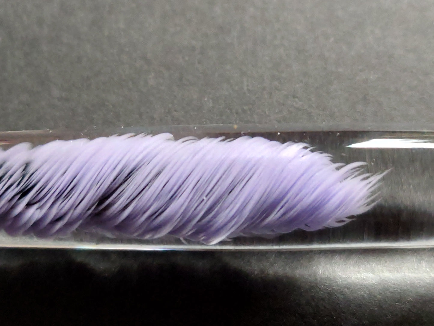 Colorful Tornado in Purple