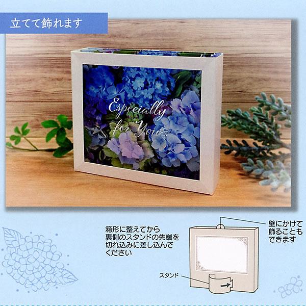 Sanrio Greeting Card: Hydrangea Flower Box