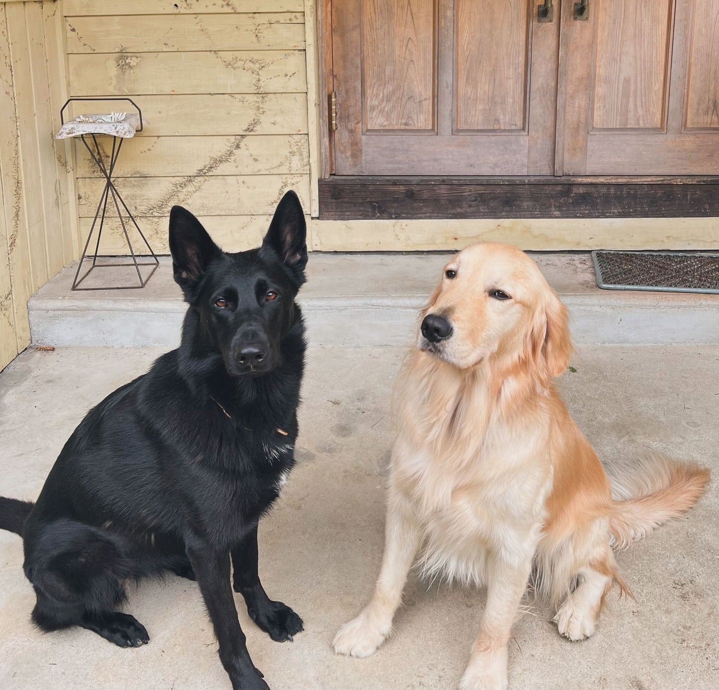 PRE-ORDER: TSL Gran Key Case