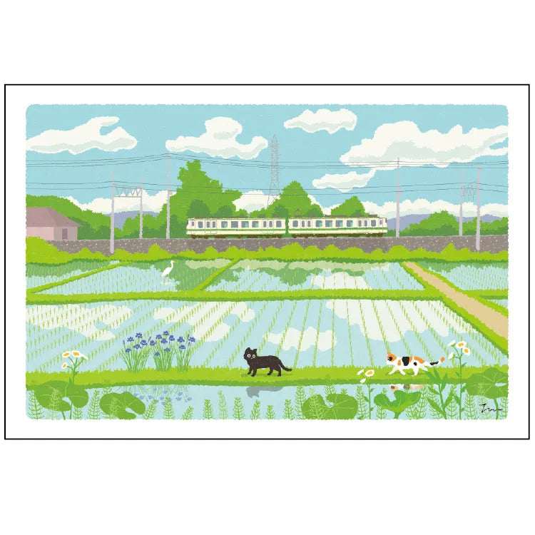Postcard: もり としのり (Mori Toshinori): たびねこ (Tabi-Neko: Travelling Cat): Rice Field