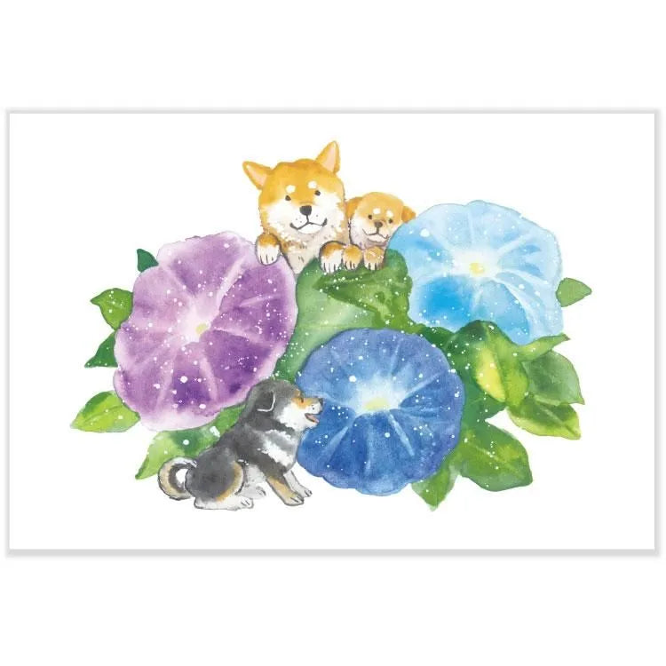 Postcard: 村田 夏佳 (Natsuka Murata): Shiba-Inu with Morning Glory