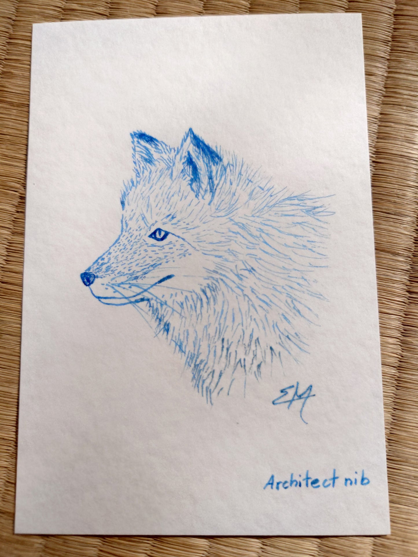 Eboya Fountain Pen - Houju in Deep Sea Blue