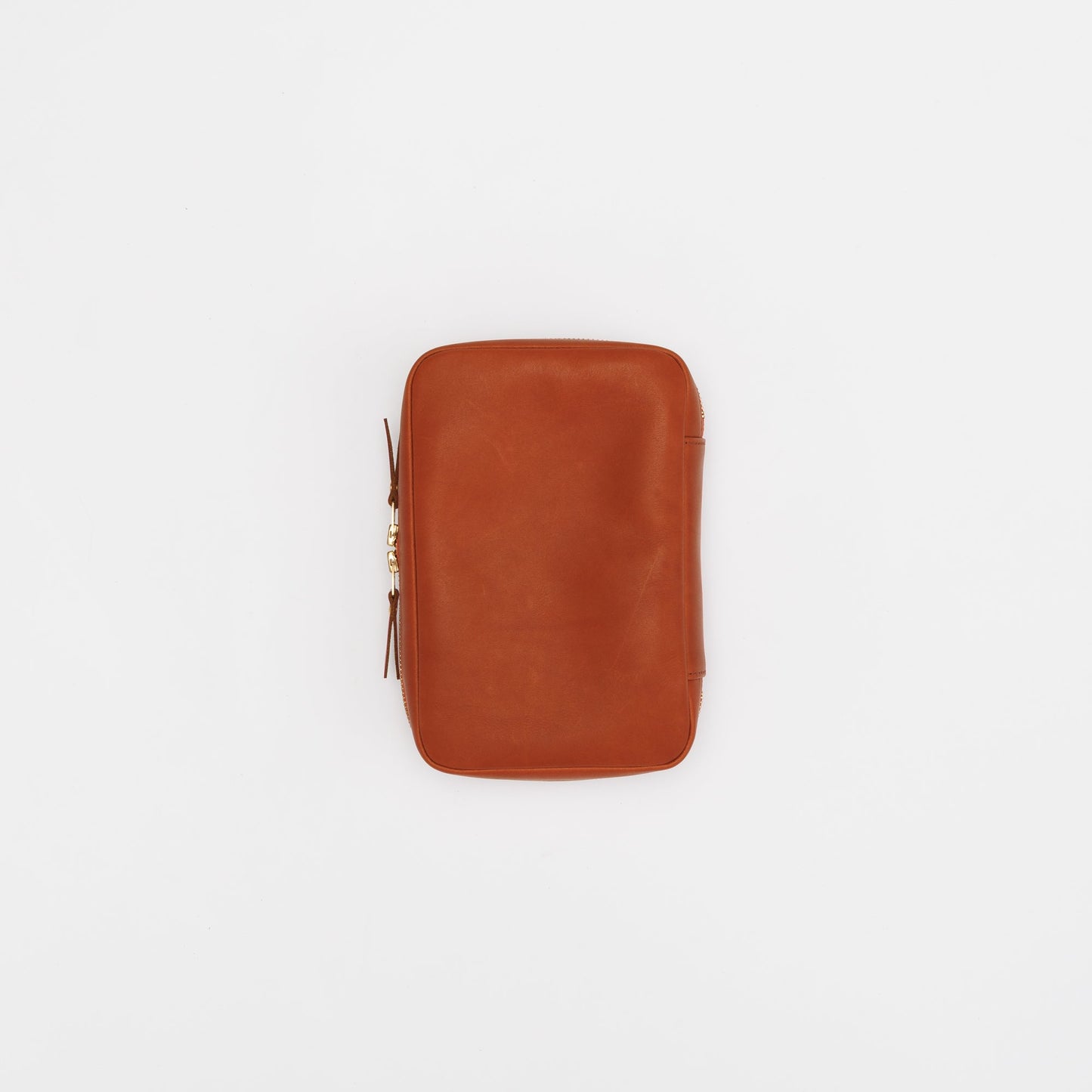 PRE-ORDER: TSL Painter's leather case