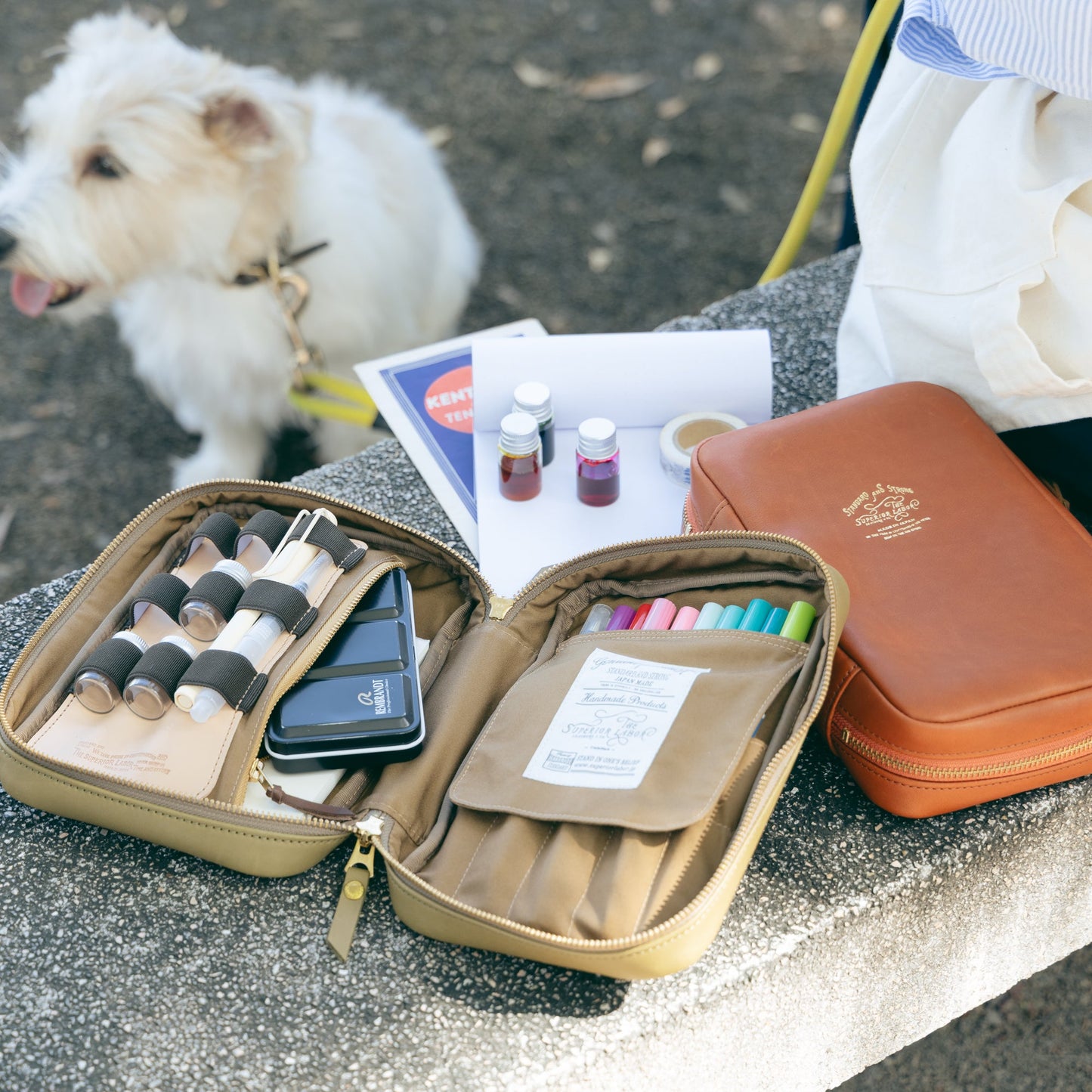 PRE-ORDER: TSL Painter's leather case