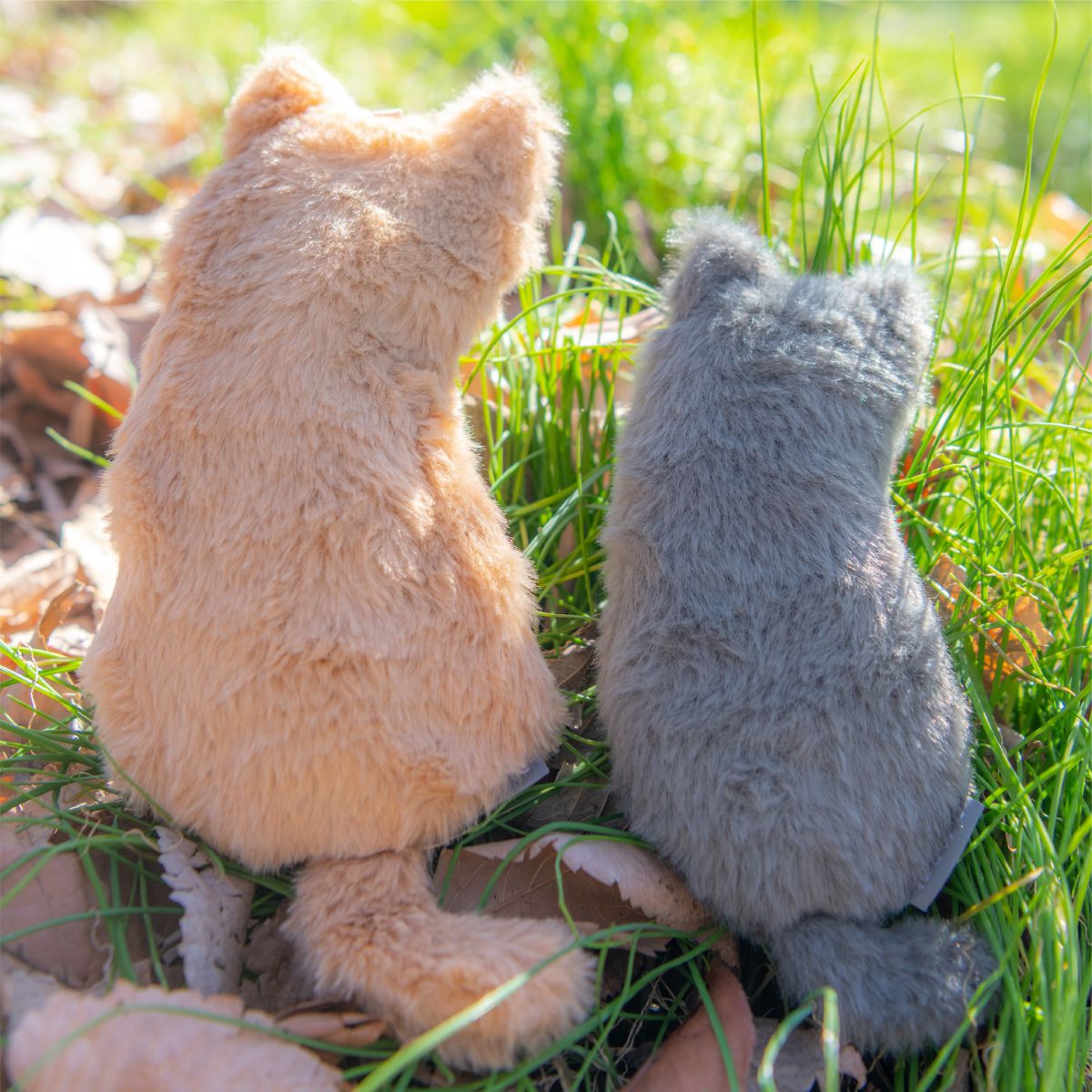 ねこのせ (Neko-no-se): Cat Pouch - Regular size