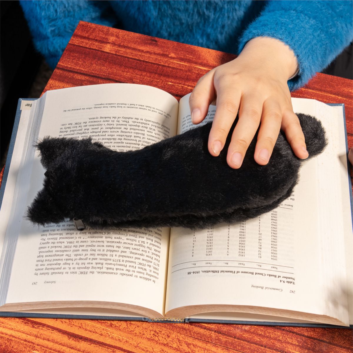 ねこのせ (Neko-no-se): Cat Pouch - Regular size