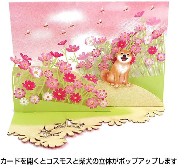 Greeting Card: Shiba Inu in a cosmos field