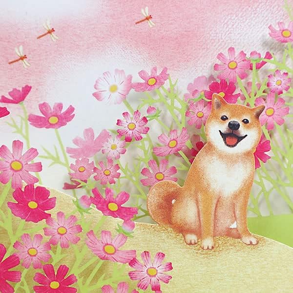 Greeting Card: Shiba Inu in a cosmos field