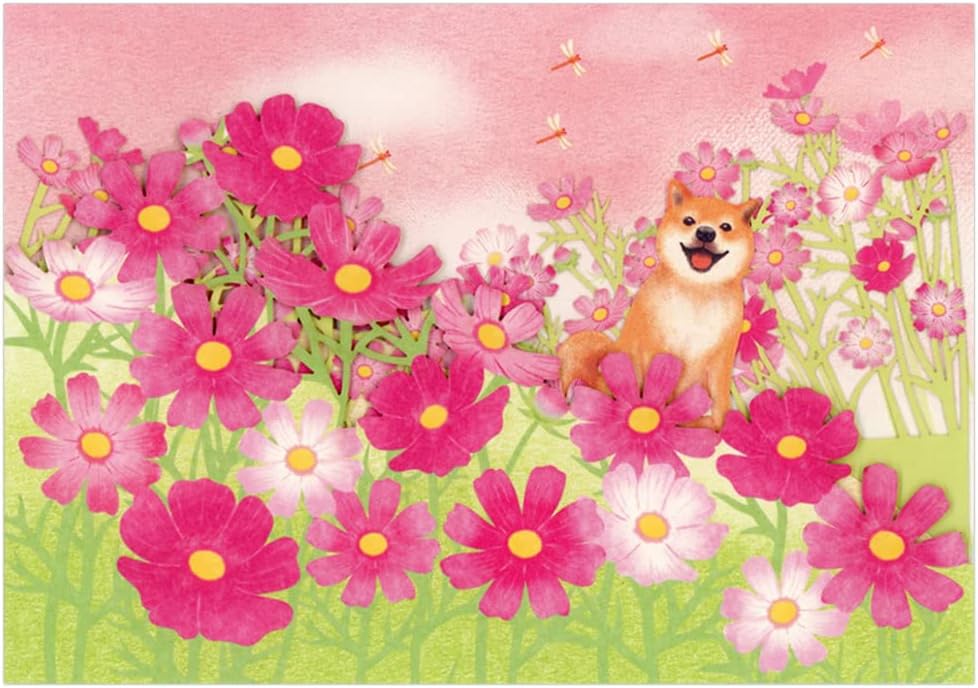 Greeting Card: Shiba Inu in a cosmos field