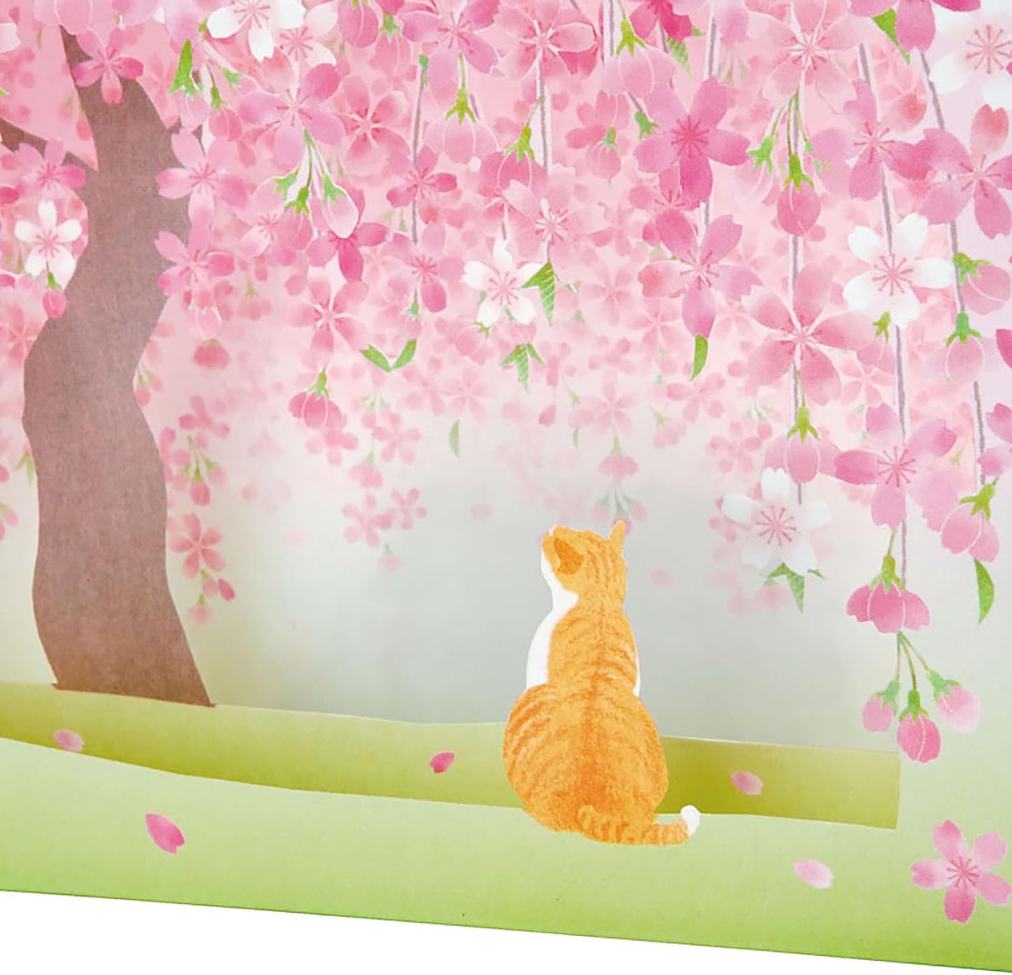 Sanrio Greeting Card: Sakura with cat underneath