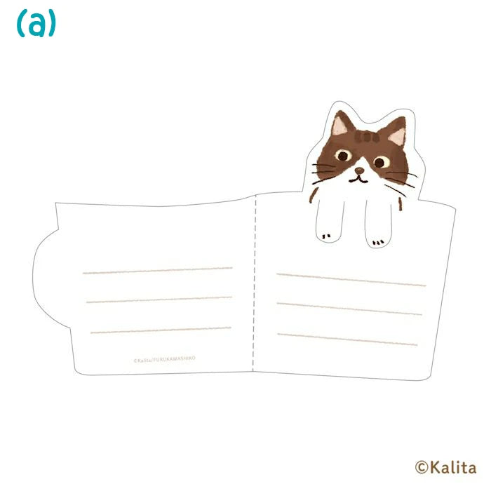 Furukawa Paper: Mini Letter - Kalita: Life is Coffee Series