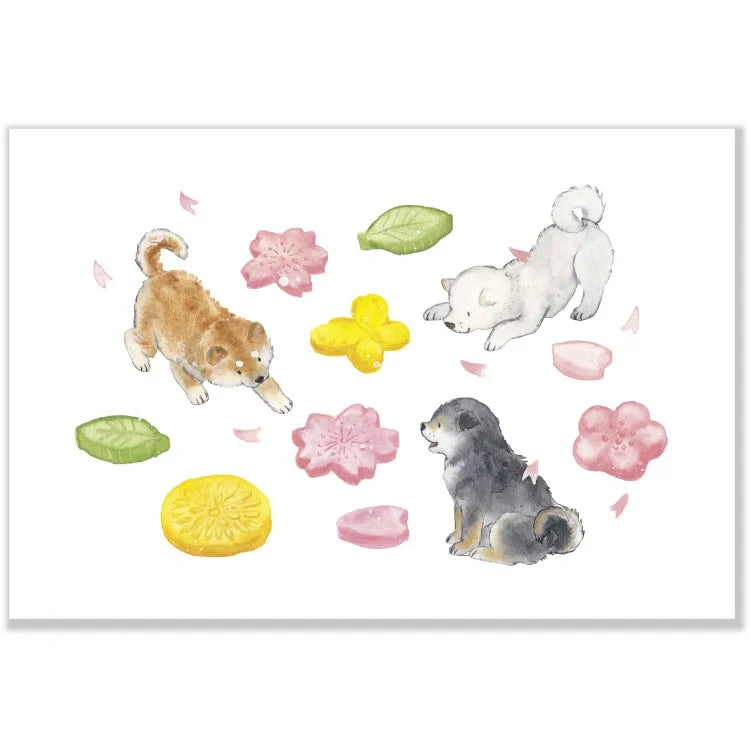 Postcard Set: 村田 夏佳 (Natsuka Murata): Shiba-Inu Spring series (11 postcards)