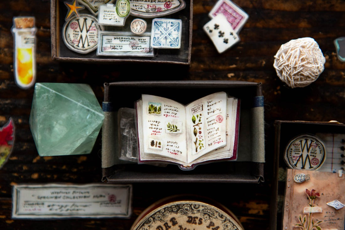 OURS masking tape: Desk of Botanist PET tape