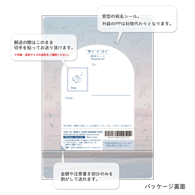 RyuRyu: "Decorate and Send" Clear Cards (set of 3 designs)