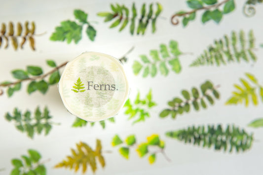 OURS masking tape: Ferns