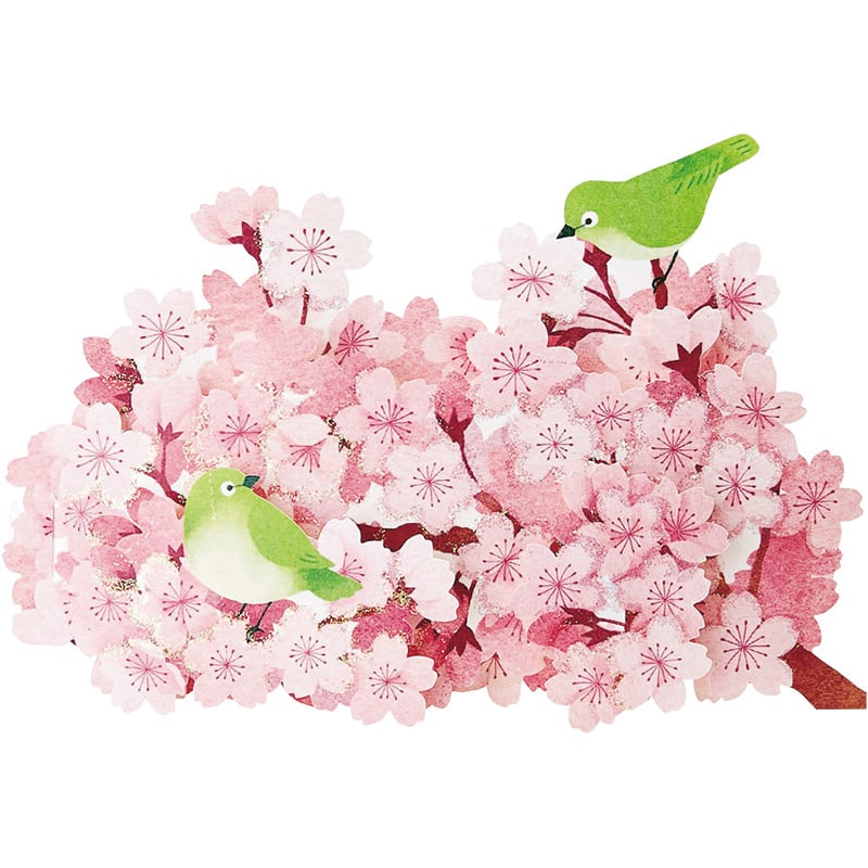 Greeting Card: Spring, Cherry Blossoms & Warbling White-Eye bird (Zosterops japonicus)