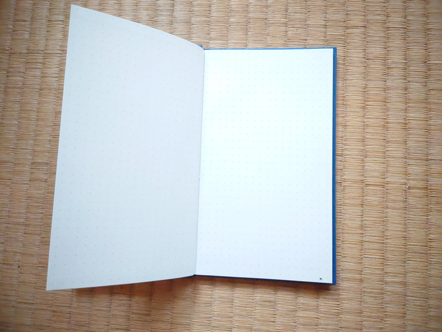 Kokuyo Trip Book Notebook